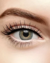 138069_freshlook_colorblends_gre_1_600x