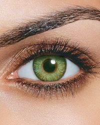 81uPQ5ZAn9L._AC_UF1000,1000_QL80_