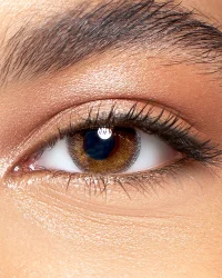 aquacolor-premium-dusky-brown-zero-power-monthly_206994_dusky_brown_s1_18_12_2025