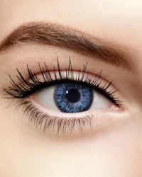 d5458bc51e43ecbc2c33887695b2_1_600x